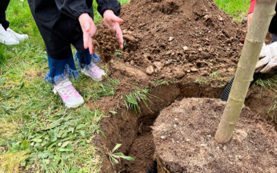 Un albero per ogni nuovo nato: torna il progetto del Consorzio di bonifica